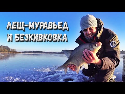 Видео: Ловля леща зимой на безмотылку | муравей михеевский и безкивковая удочка