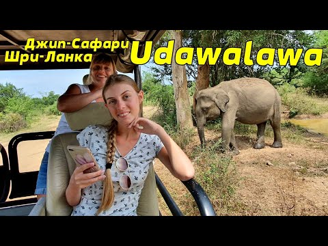 Видео: Джип сафари в Udawalawa. Экскурсия в Шри-Ланка