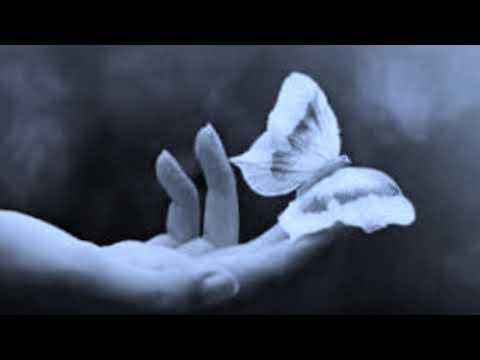 Видео: Не пробуждай - исп. Аттилио Кардуччи