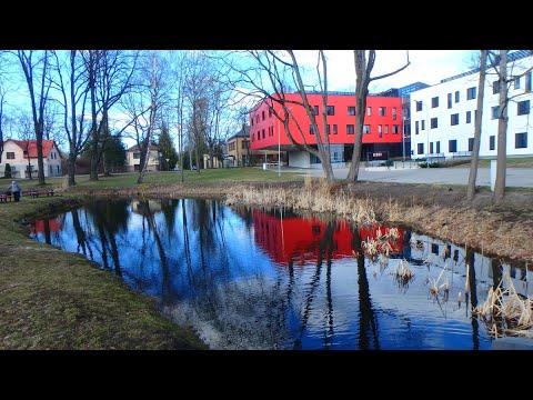 Видео: островки природы в городском мегаполисе