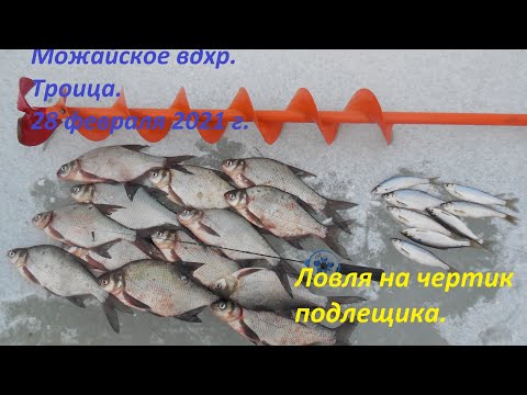 Видео: Можайское вдхр. Троица. 28.02.2021г. Ловля на чертик подлещика.