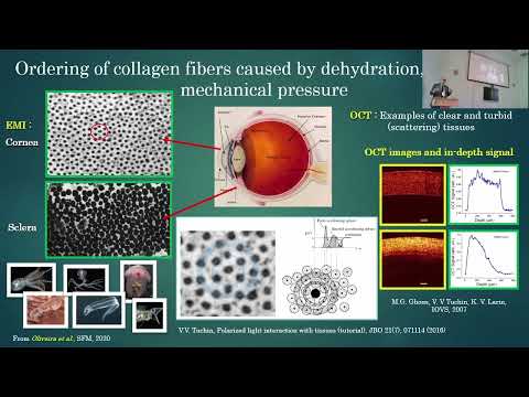 Видео: Тучин В.В.Проблемы оптической визуализации и доставки излучения в глубокие слои биологических тканей