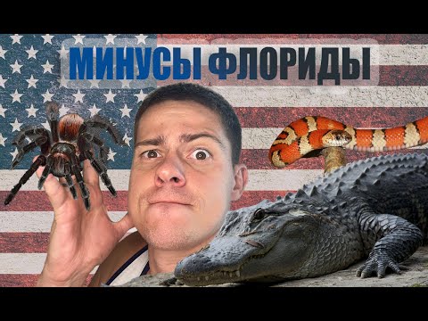 Видео: Минусы жизни во Флориде. Для вас это может быть очень критично!