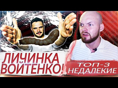 Видео: ЛИЧИНКИ ВОЙТЕНКО / топ-3 недалеких блогеров