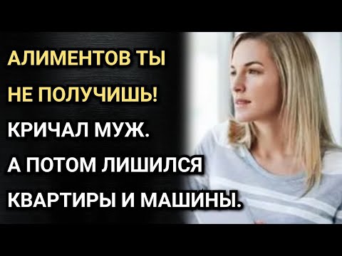 Видео: Алиментов ты не получишь! Кричал муж, а потом лишился квартиры и машины.