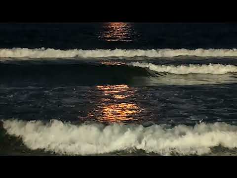 Видео: Лунная ночь