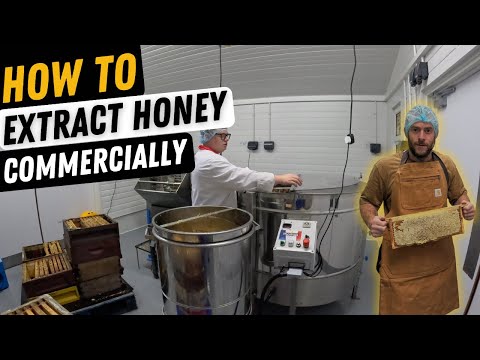 Видео: Как извлекать мёд в промышленных масштабах без медогоночной линии