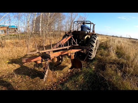 Видео: Пашу целину! Трактор МТЗ-50 и половина плуга от ДТ-75 переворачивает десятилетний дерн!