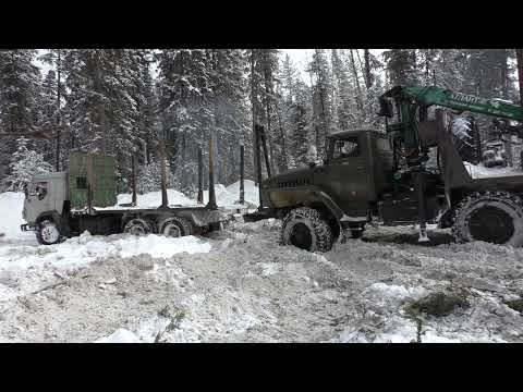 Видео: Погрузка Камаза лесом. Зимние лесные дороги.