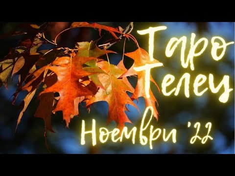 Видео: Телец ♉ Таро ❤️ Не може да даде повече! Ноември 2022