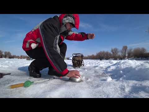 Видео: Зимняя рыбалка р. Каратал 2019 Алматинская область.