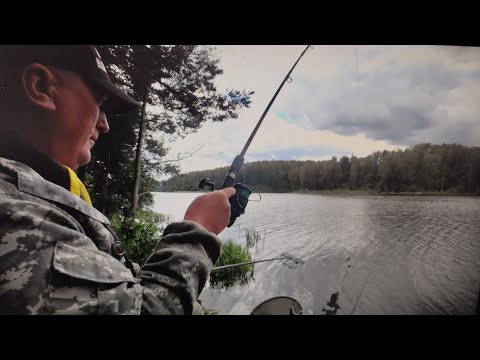 Видео: НА ЭТУ СНАСТЬ КЛЮЁТ ВСЕГДА! ОНА СНОВА НЕ ПОДВЕЛА! ЛОВЛЯ НА ФИДЕР В СЕНТЯБРЕ 2025!