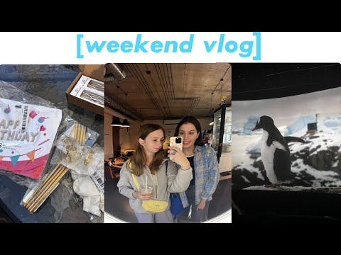 Видео: Підготовка до ДН | ФІЛЬМ АНТАРКТИДА| ЯК НЕ НЕРВУВАТИ?😶‍🌫️