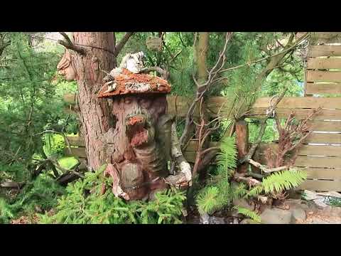 Видео: ЭКСКУРСИЯ ПО САДУ - ИЮЛЬ-2-Я ЧАСТЬ