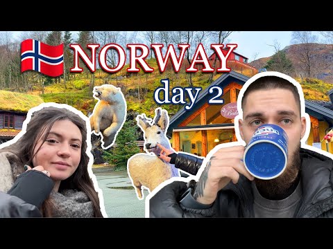 Видео: Първи ден в Норвегия! Къщата на Свещите и Северно Сияние / Ден 2 от Нашето Пътешествие до Норвегия