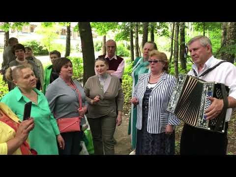 Видео: Называют меня не красивою. С гармонью по жизни!