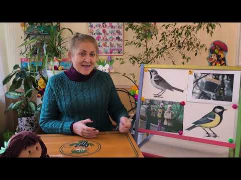 Видео: Заняття з природного довкілля за темою: "Зимуючі птахи".
