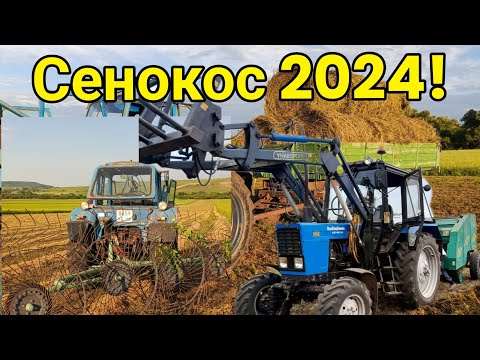 Видео: Сенокос 2024!Работа с Куном.