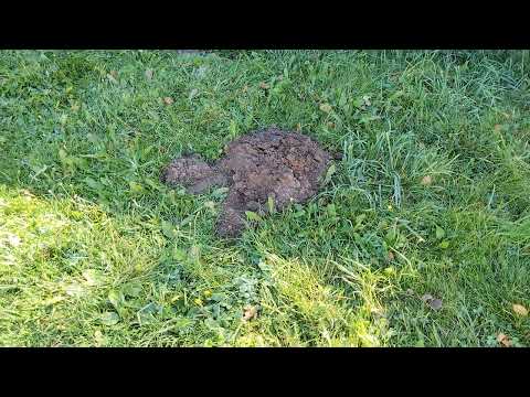 Видео: 12.09.25 г. ПОСИЖУ, ПОБОЛТАЮ, В КОНЦЕ РАССКАЖУ ДВЕ СТРАЩИЛКИ, СЛУЧАИ В БАНЕ, ЭХ ЖИЗНЯ СТАРИКОВСКАЯ!
