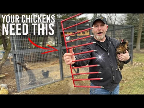 Видео: Как построить загон для курятника, защищенный от хищников // Проект «Сделай сам»