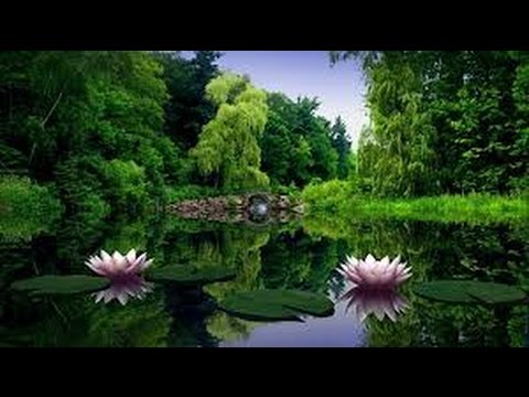 Видео: Хочи Мирзо-ам-031 Хазрати Иброхим(а) 3
