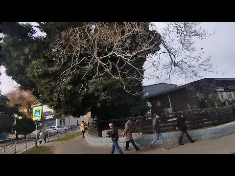 Видео: Керчь  Проездом по городу.