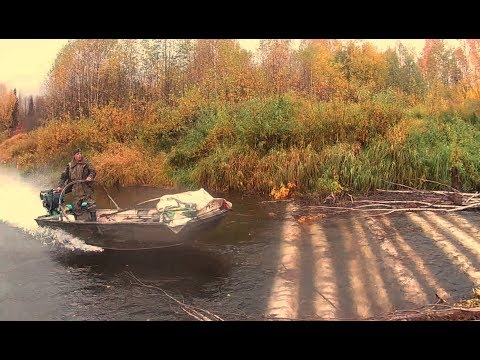Видео: Прыжок на болотоходе, река Лопья, река Южная Кельтма; болотоход 22 л.с.