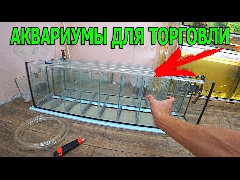 Видео: Аквариумы для продажи рыбок