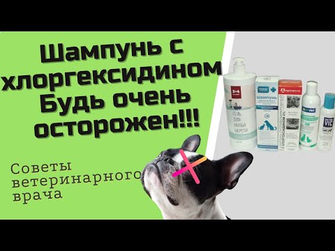 Видео: Шампуни с хлоргексидином для собак