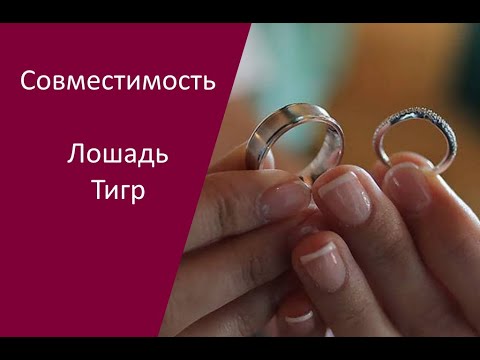 Видео: Совместимость Тигр Лошадь: характер пары для мужчин, женщин