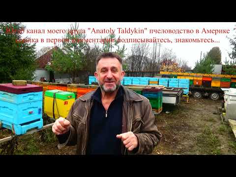 Видео: Ноябрь обработка от клеща замена маток