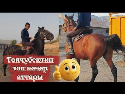 Видео: Топчубектин топ кечер аттары 