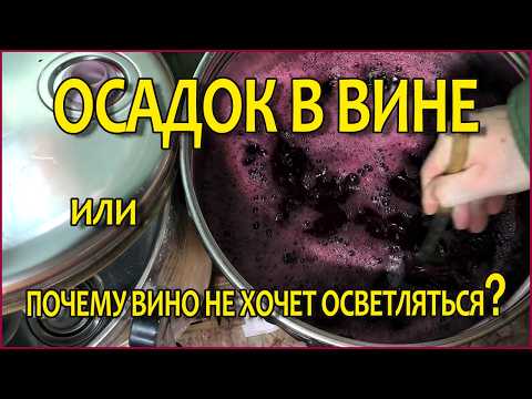 Видео: Почему в вине образуется осадок.