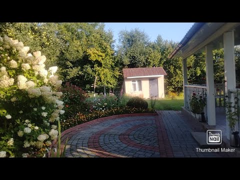 Видео: Неудачная съёмка. Хотел как лучше, получилось как всегда.#дача#картоха#урожай