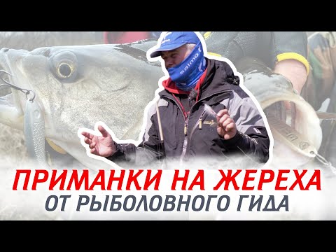 Видео: Лучшие ПРИМАНКИ НА ЖЕРЕХА от рыболовного гида Юрия Юрченко