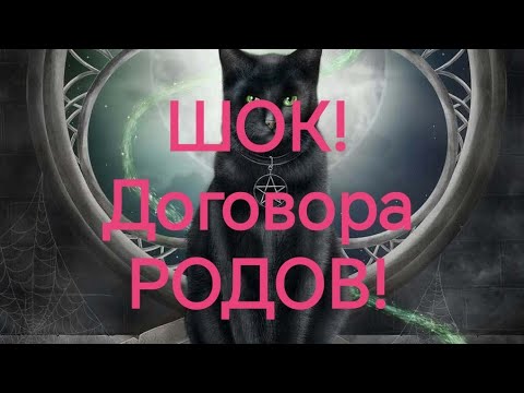 Видео: Ваш РОД о вас и о нём, его РОД о нём и о вас 💯💫🌟❗💥