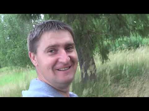 Видео: Спасение пчёл Ловля Роёв 2020