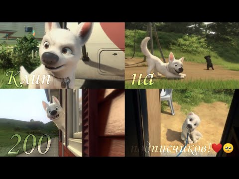 Видео: Вольт и Варежка клип на 200 подписчиков💕