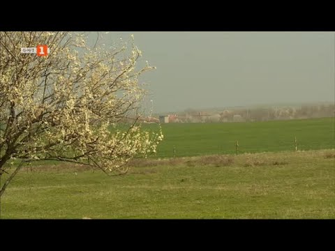 Видео: Българи за пример във фермата и на полето, Бразди – 06.04.2024 по БНТ