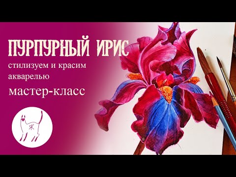 Видео: Мастер-класс, рисуем акварелью пурпурный ирис