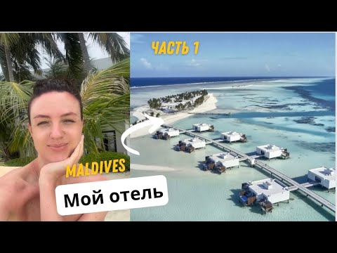 Видео: Обзор отеля на Мальдивах где отдыхаю Riu Palace 5* Atoll 4*/Hotel overview