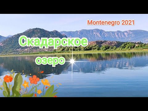 Видео: 🌿🍀🍃 Скадарское озеро🌄 Незабываемая экскурсия🍀🌿🍃 Черногория 2021