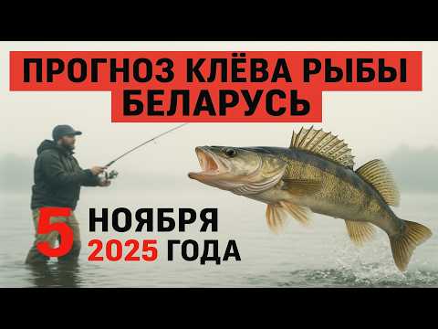 Видео: ПРОГНОЗ КЛЁВА в БЕЛАРУСИ на 5 ноября 2025 Бросай все и на рыбалку!