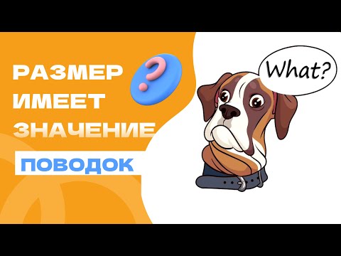 Видео: ПЛЮСЫ И МИНУСЫ ПЕРЕСТЕЖКА/ПОВОДОК/РУЛЕТКА.  ВСЕ ПРО ДЛИНУ ПОВОДКА. ЧЕМ пользуется кинолог