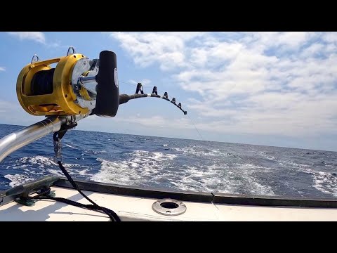 Видео: Поймал гиганта на глубине (рыбалка в открытом море/глубокий залив Орегона)