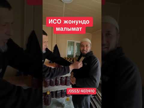 Видео: ИСО жонундо малымат