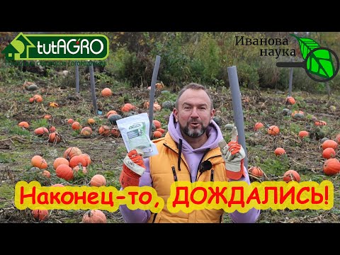 Видео: СЕНСАЦИОННОЕ СРЕДСТВО ПРОТИВ СЛИЗНЕЙ, ЖУКОВ, КЛЕЩЕЙ и ХРУЩЕЙ! Забудьте про химию навсегда! Боверия.