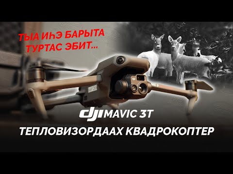 Видео: ТЕПЛОВИЗОРДААХ КВАДРОКОПТЕР | DJI MAVIC 3T ОБЗОРА