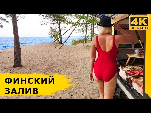 Видео: Баня на Финском заливе, нашли загадочную баржу немцев и люля-кебаб в лесу