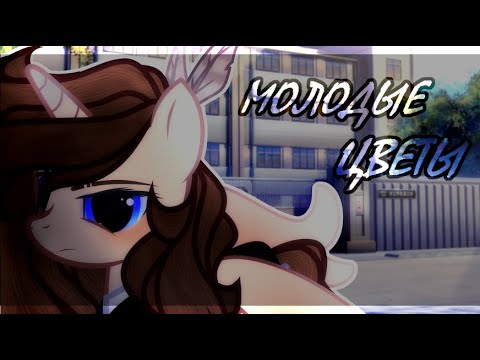 Видео: PMV - ДАРСН - МОЛОДЫЕ ЦВЕТЫ (Пони Клип)